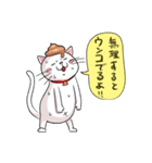 うんこねこ！（個別スタンプ：17）