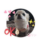 愛しのりんちゅけ♡スタンプ（個別スタンプ：4）