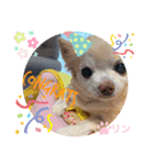 愛しのりんちゅけ♡スタンプ（個別スタンプ：9）