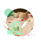 愛しのりんちゅけ♡スタンプ（個別スタンプ：10）