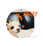 愛しのりんちゅけ♡スタンプ（個別スタンプ：12）