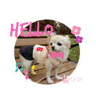 愛しのりんちゅけ♡スタンプ（個別スタンプ：13）