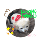 愛しのりんちゅけ♡スタンプ（個別スタンプ：14）