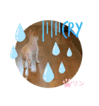 愛しのりんちゅけ♡スタンプ（個別スタンプ：15）