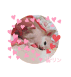 愛しのりんちゅけ♡スタンプ（個別スタンプ：16）