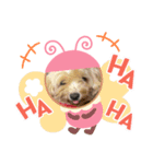 ぁらら（個別スタンプ：3）