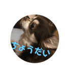 ぁらら（個別スタンプ：8）