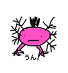 ただのウーパールーパー（個別スタンプ：1）
