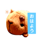 カピバラさんのほのぼの日記（個別スタンプ：1）