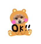 ちょこ犬スタンプ（個別スタンプ：7）