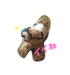 ちょこ犬スタンプ（個別スタンプ：11）