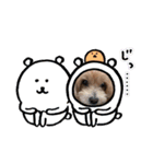 ちょこ犬スタンプ（個別スタンプ：14）