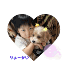ちょこ犬スタンプ（個別スタンプ：23）