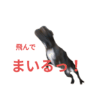 ラスタくん（個別スタンプ：15）