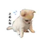 とろろんすたんぷ（個別スタンプ：3）
