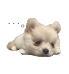 とろろんすたんぷ（個別スタンプ：7）