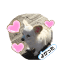 はっぴいと一緒（個別スタンプ：8）