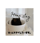 すーくんでちゅー。（個別スタンプ：1）
