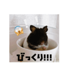 すーくんでちゅー。（個別スタンプ：3）