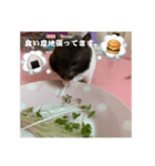 すーくんでちゅー。（個別スタンプ：4）