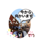 チワワ のテツ ver.2（個別スタンプ：1）