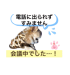 チワワ のテツ ver.2（個別スタンプ：20）