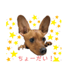 ミニピン こびき No.1（個別スタンプ：3）