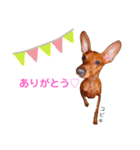 ミニピン こびき No.1（個別スタンプ：6）
