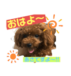 Kota.Kotaro（個別スタンプ：3）
