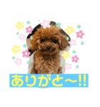 Kota.Kotaro（個別スタンプ：6）