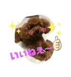 Kota.Kotaro（個別スタンプ：8）