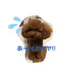 Kota.Kotaro（個別スタンプ：9）