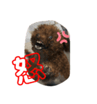 Kota.Kotaro（個別スタンプ：10）