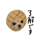 ぼくごまお（個別スタンプ：11）