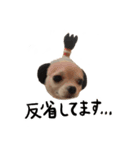 ぼくごまお（個別スタンプ：22）