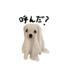 ぼくごまお（個別スタンプ：30）