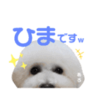 えるあろスタンプ❤️（個別スタンプ：2）