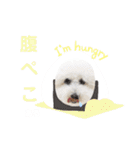 えるあろスタンプ❤️（個別スタンプ：8）