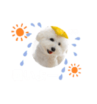 えるあろスタンプ❤️（個別スタンプ：13）