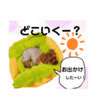 なかよしワンコM＆S③（個別スタンプ：3）