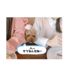 なかよしワンコM＆S③（個別スタンプ：24）