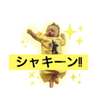 さるやんスタンプ（個別スタンプ：2）