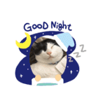 やんくんです（個別スタンプ：2）
