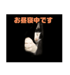 やんくんです（個別スタンプ：15）
