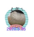 瑠璃にゃん（個別スタンプ：1）