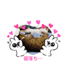 瑠璃にゃん（個別スタンプ：2）