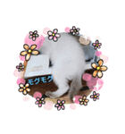 瑠璃にゃん（個別スタンプ：8）