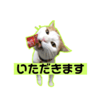 愛猫ちーこスタンプ（個別スタンプ：5）