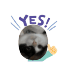 やんくん（個別スタンプ：3）