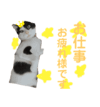 やんくん（個別スタンプ：14）